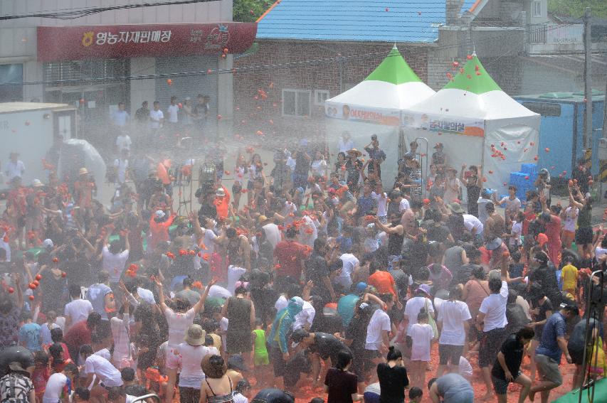 2015 화천 토마토축제장 전경 의 사진