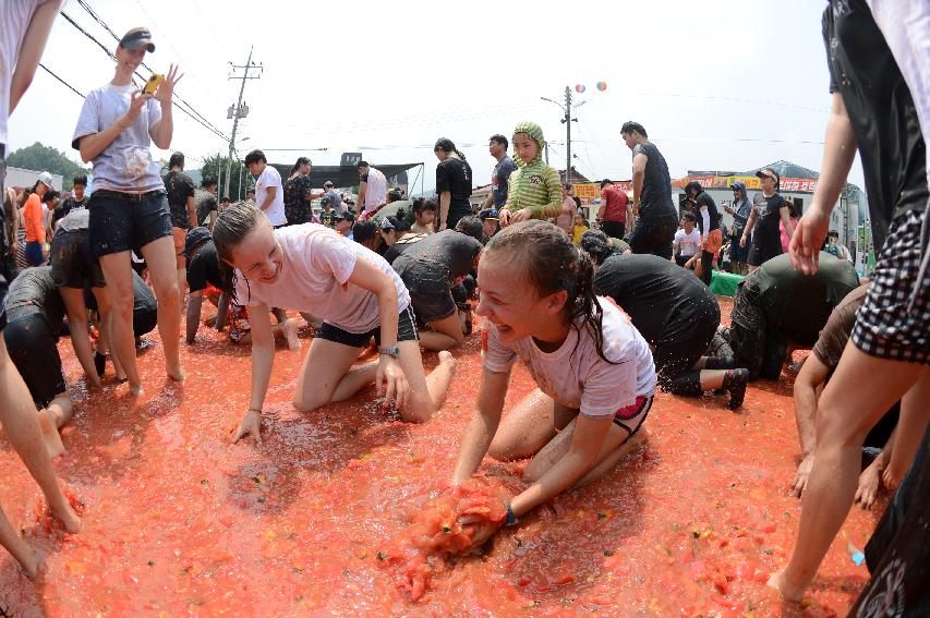 2015 화천 토마토축제장 전경 의 사진