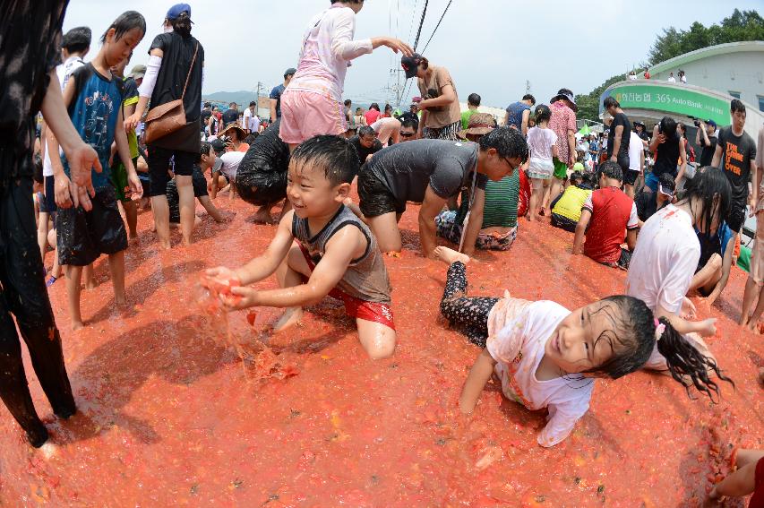 2015 화천 토마토축제장 전경 의 사진