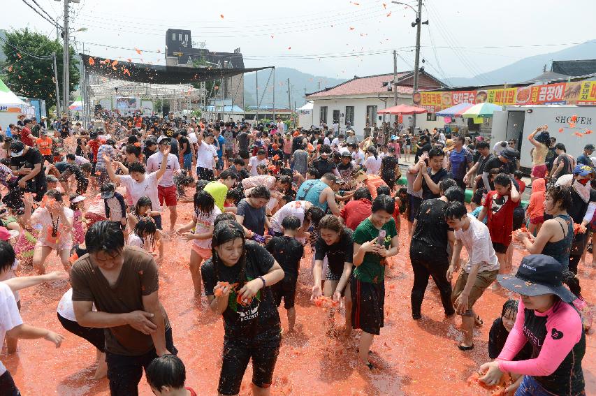 2015 화천 토마토축제장 전경 의 사진