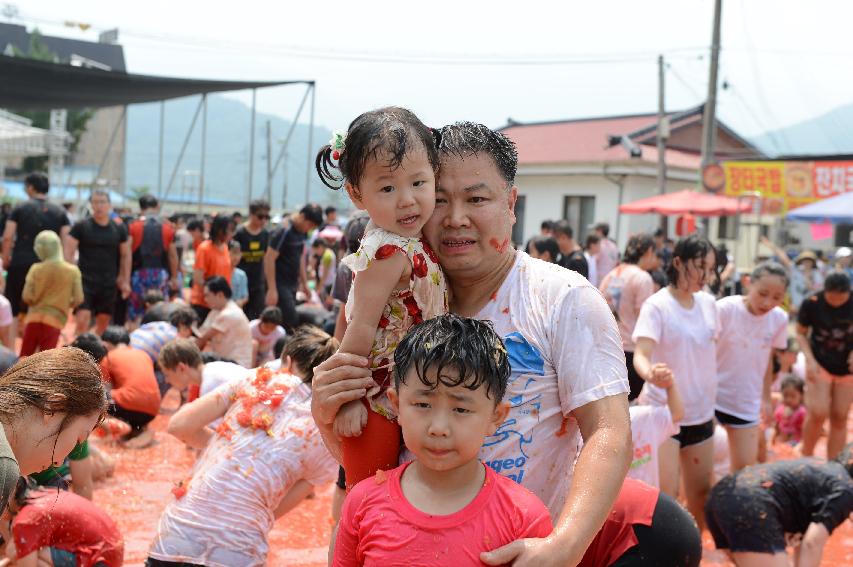 2015 화천 토마토축제장 전경 의 사진