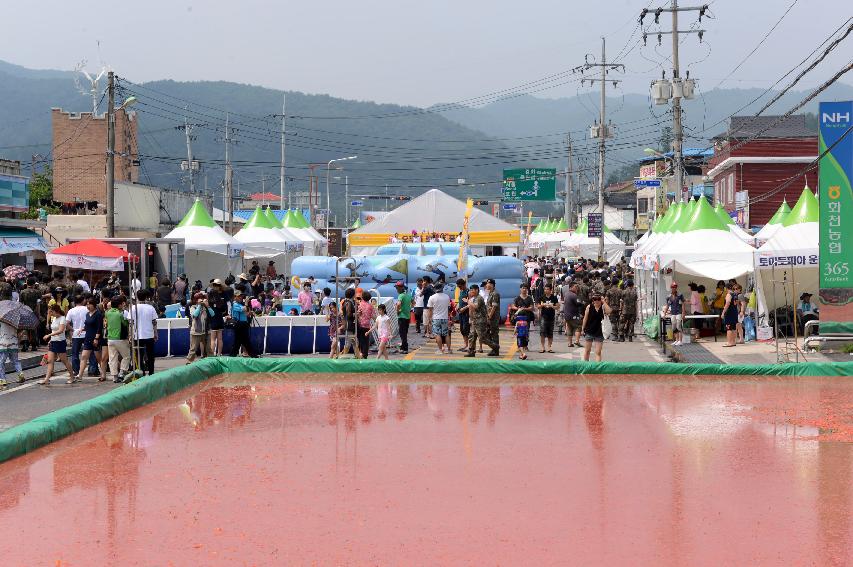 2015 화천 토마토축제장 전경 의 사진