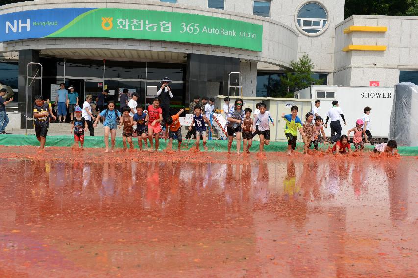 2015 화천 토마토축제장 전경 의 사진