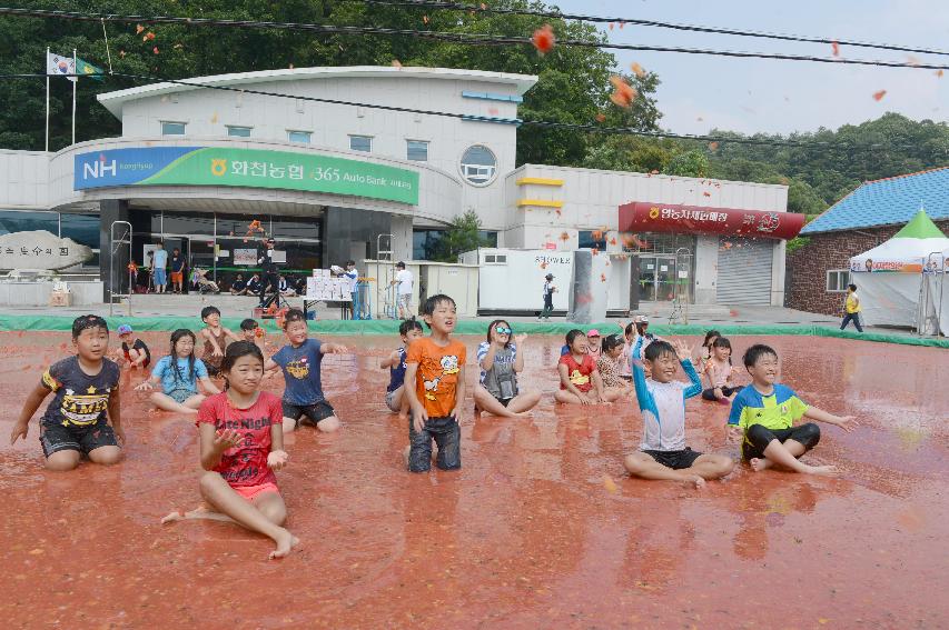 2015 화천 토마토축제장 전경 의 사진