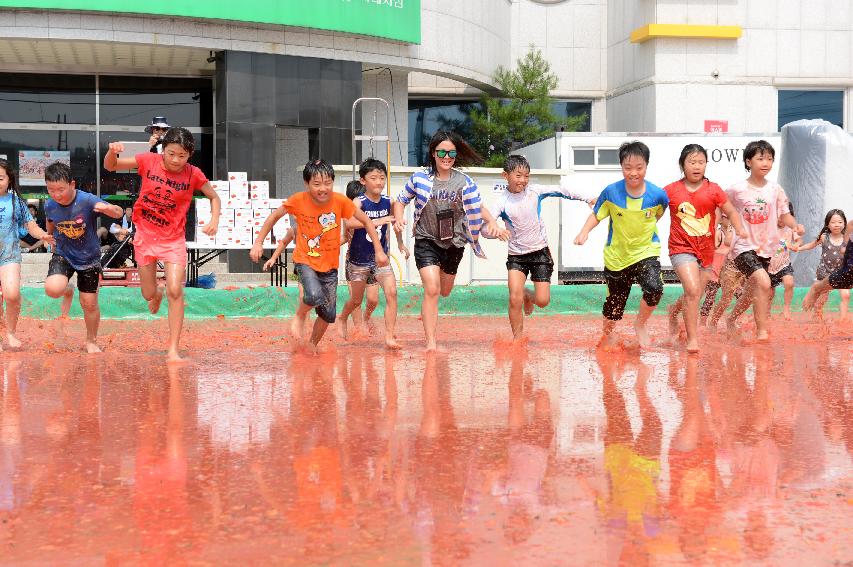 2015 화천 토마토축제장 전경 의 사진