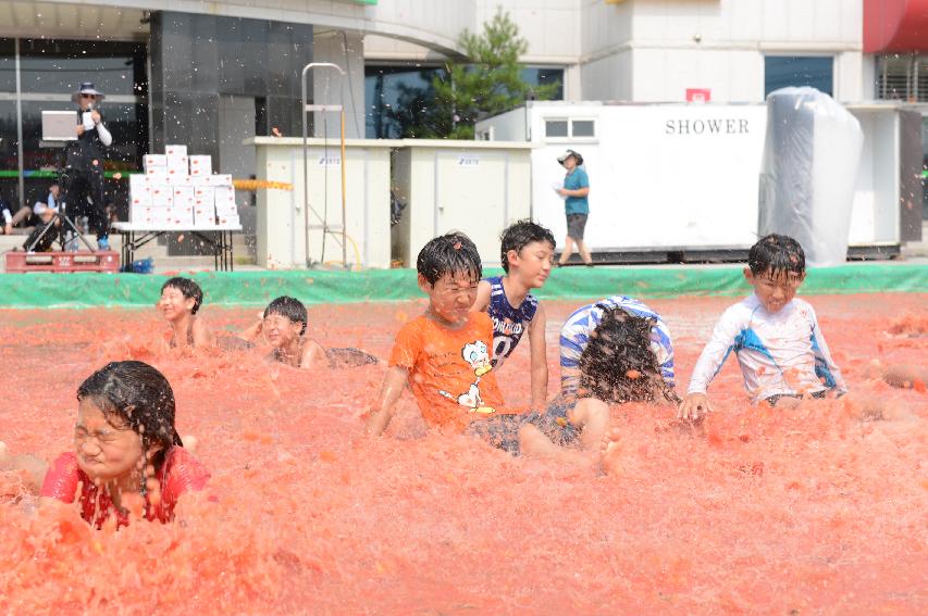 2015 화천 토마토축제장 전경 의 사진