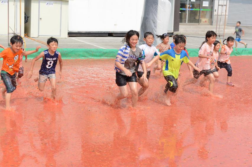 2015 화천 토마토축제장 전경 의 사진