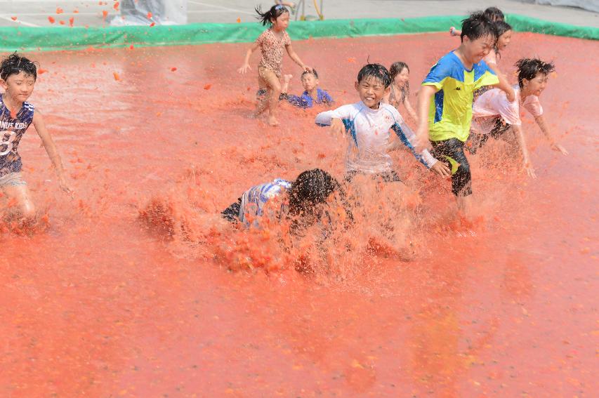 2015 화천 토마토축제장 전경 의 사진