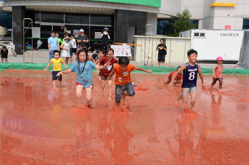 2015 화천 토마토축제장 전경 의 사진