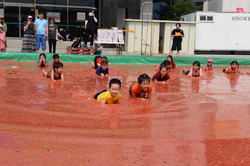 2015 화천 토마토축제장 전경 의 사진