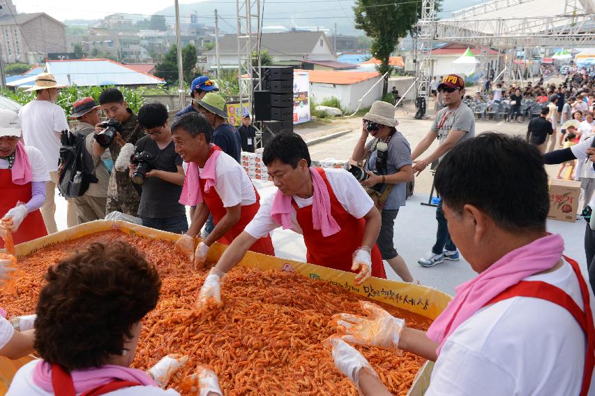 2015 화천 토마토축제장 전경 의 사진