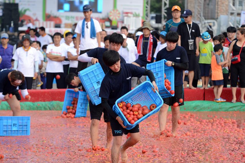 2015 화천 토마토축제장 전경 의 사진