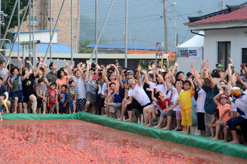 2015 화천 토마토축제장 전경 의 사진