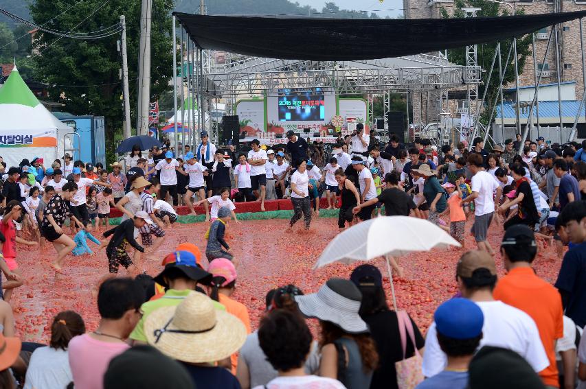 2015 화천 토마토축제장 전경 의 사진