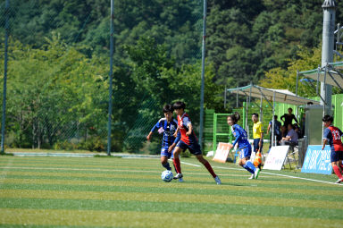 2015 추계한국여자축구연맹전 의 사진