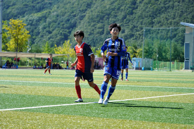 2015 추계한국여자축구연맹전 의 사진