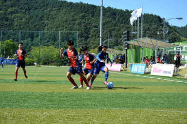 2015 추계한국여자축구연맹전 의 사진