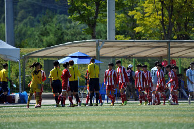 2015 추계한국여자축구연맹전 의 사진