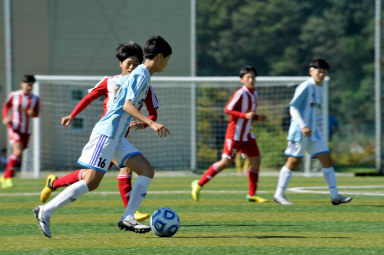 2015 추계한국여자축구연맹전 의 사진