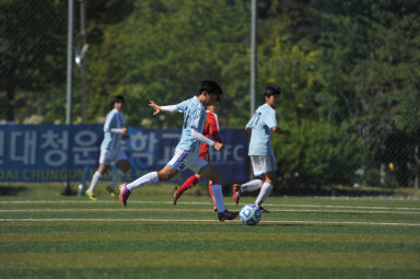 2015 추계한국여자축구연맹전 의 사진