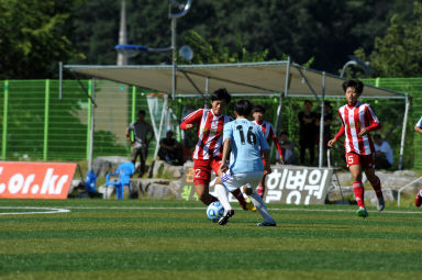 2015 추계한국여자축구연맹전 의 사진