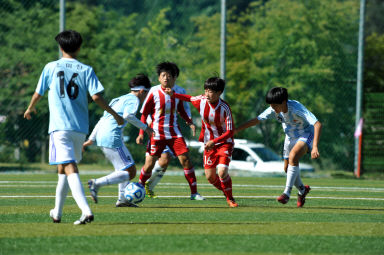 2015 추계한국여자축구연맹전 의 사진