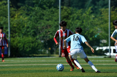 2015 추계한국여자축구연맹전 의 사진