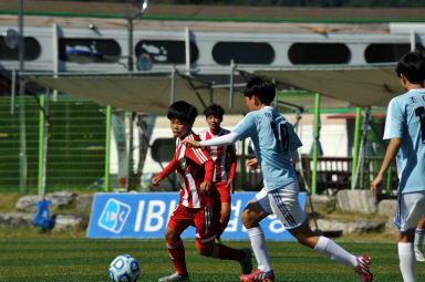 2015 추계한국여자축구연맹전 의 사진