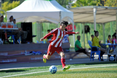 2015 추계한국여자축구연맹전 의 사진