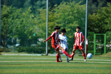 2015 추계한국여자축구연맹전 의 사진