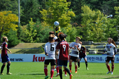 2015 추계한국 여자축구연맹전 의 사진