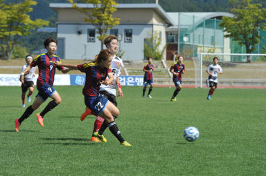 2015 추계한국 여자축구연맹전 의 사진