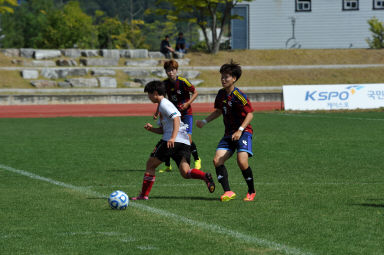 2015 추계한국 여자축구연맹전 의 사진