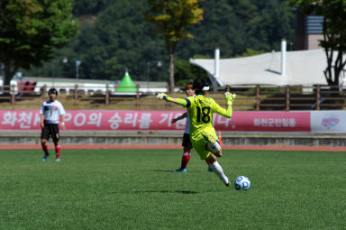 2015 추계한국 여자축구연맹전 의 사진