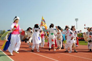 2015 제31회 용화축전 개회식 사진