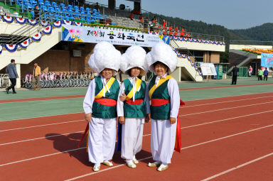 2015 제31회 용화축전 개회식 의 사진