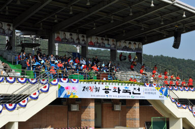 2015 제31회 용화축전 개회식 의 사진