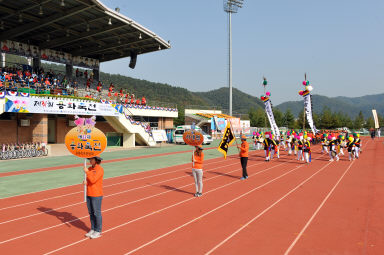 2015 제31회 용화축전 개회식 의 사진