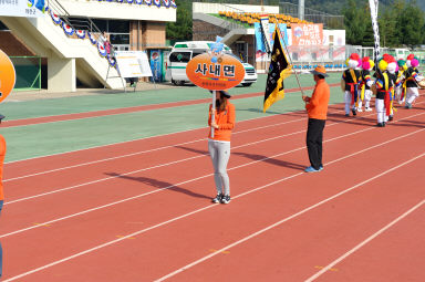 2015 제31회 용화축전 개회식 의 사진