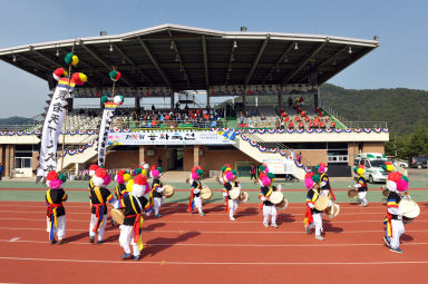 2015 제31회 용화축전 개회식 의 사진