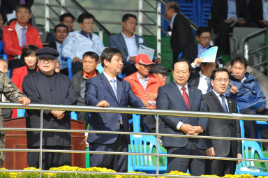 2015 제31회 용화축전 개회식 의 사진