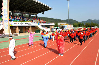 2015 제31회 용화축전 개회식 의 사진