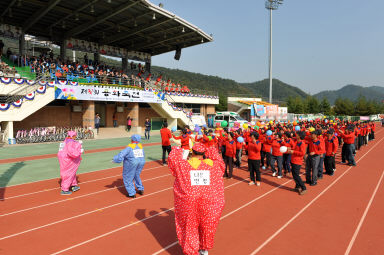 2015 제31회 용화축전 개회식 의 사진