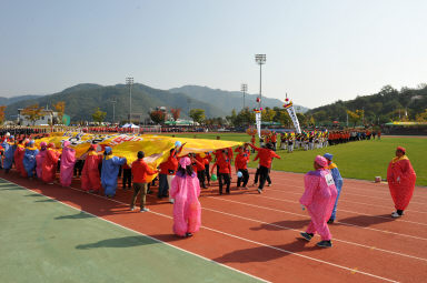 2015 제31회 용화축전 개회식 의 사진