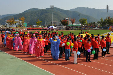 2015 제31회 용화축전 개회식 의 사진