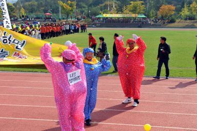 2015 제31회 용화축전 개회식 의 사진