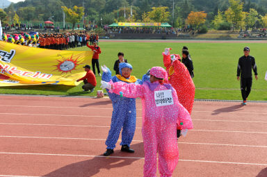 2015 제31회 용화축전 개회식 의 사진