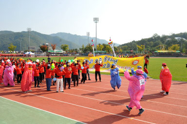 2015 제31회 용화축전 개회식 의 사진