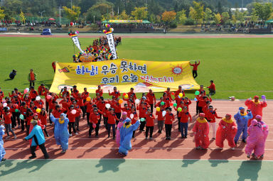 2015 제31회 용화축전 개회식 의 사진