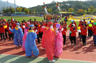 2015 제31회 용화축전 개회식 의 사진